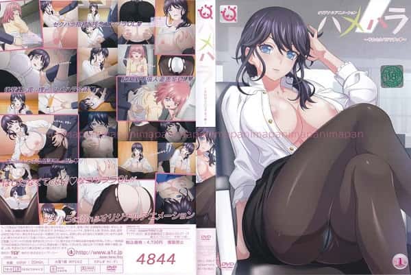 Hamehara: Sore Sekuhara Desu!
